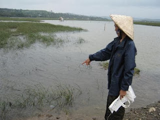 Khốn đốn vì ngập mặn